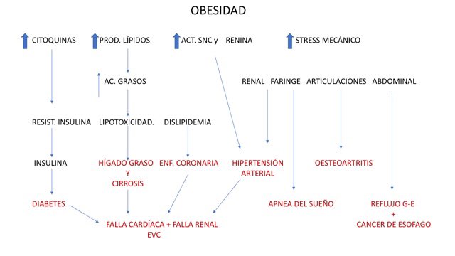 Algunas de las complicaciones de la #obesidad y su mecanismo de producción. Según el Censo de Salud Preventiva, en Panamá, el 44% de los >40 años tienen sobrepeso/obesidad. Cada uno tiene que cuidarse de esta enfermedad.