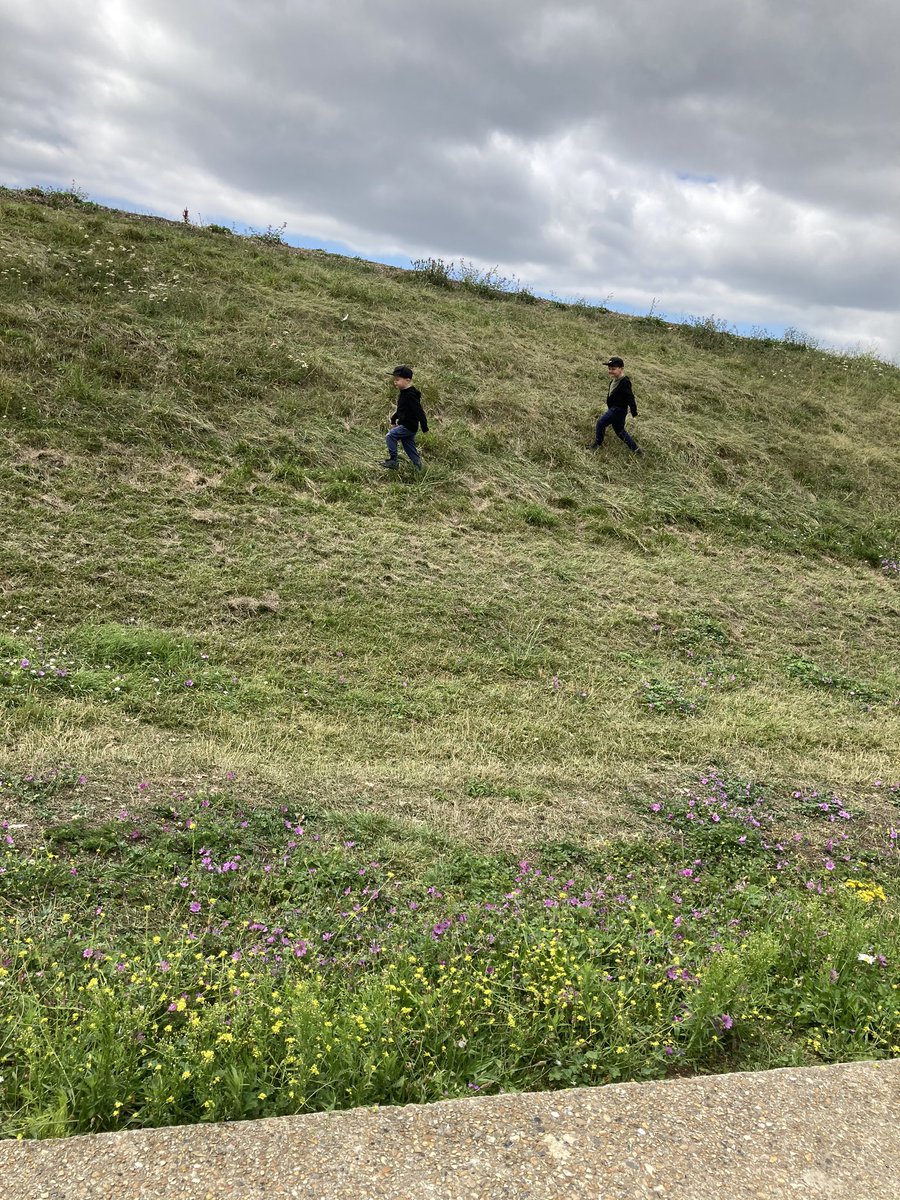 nikkibairdy's tweet photo. @MrsVelia @UL_Year2 @WalthamstowPrim #ELSportsDay last day completed. Walk around wetlands. https://t.co/fA8RGLwPkN