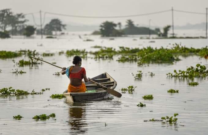 JajaborManas's tweet photo. My State Assam is now facing a devastating flood. 70+ human lives lost ,33 lakh ppl affected.We need your help.I am requesting you guys to donate generously to help the Flood affected people.  
Details in the below tweet👇
#AssamFloods 
Kindly RT &amp; Donate. 🙏🙏🙏 https://t.co/RrfayH2hg8