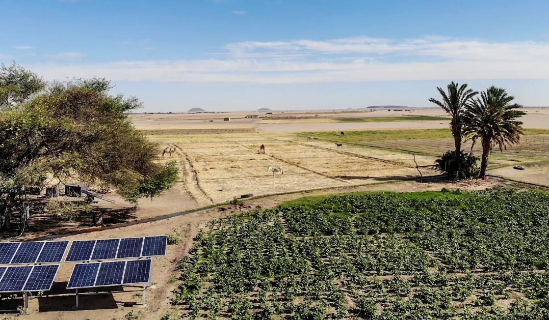 تصلح ثلث مساحة السودان البالغة1.886 كيلو متر مربع للزراعة. تساعد طلمبات الطاقة الشمسية المزارعين على زيادة رقعة الأراضي المزروعة بنسبة 46% حيث زاد انتاجهم الاجمالي السنوي من 161 طنا الى 237 طنا بدعم من <a href="/theGEF/">Global Environment Facility (GEF)</a>  و <a href="/UNDP_Sudan/">UNDP Sudan</a> #Sudan #SolarEnergy ow.ly/jSRZ30qYLjH