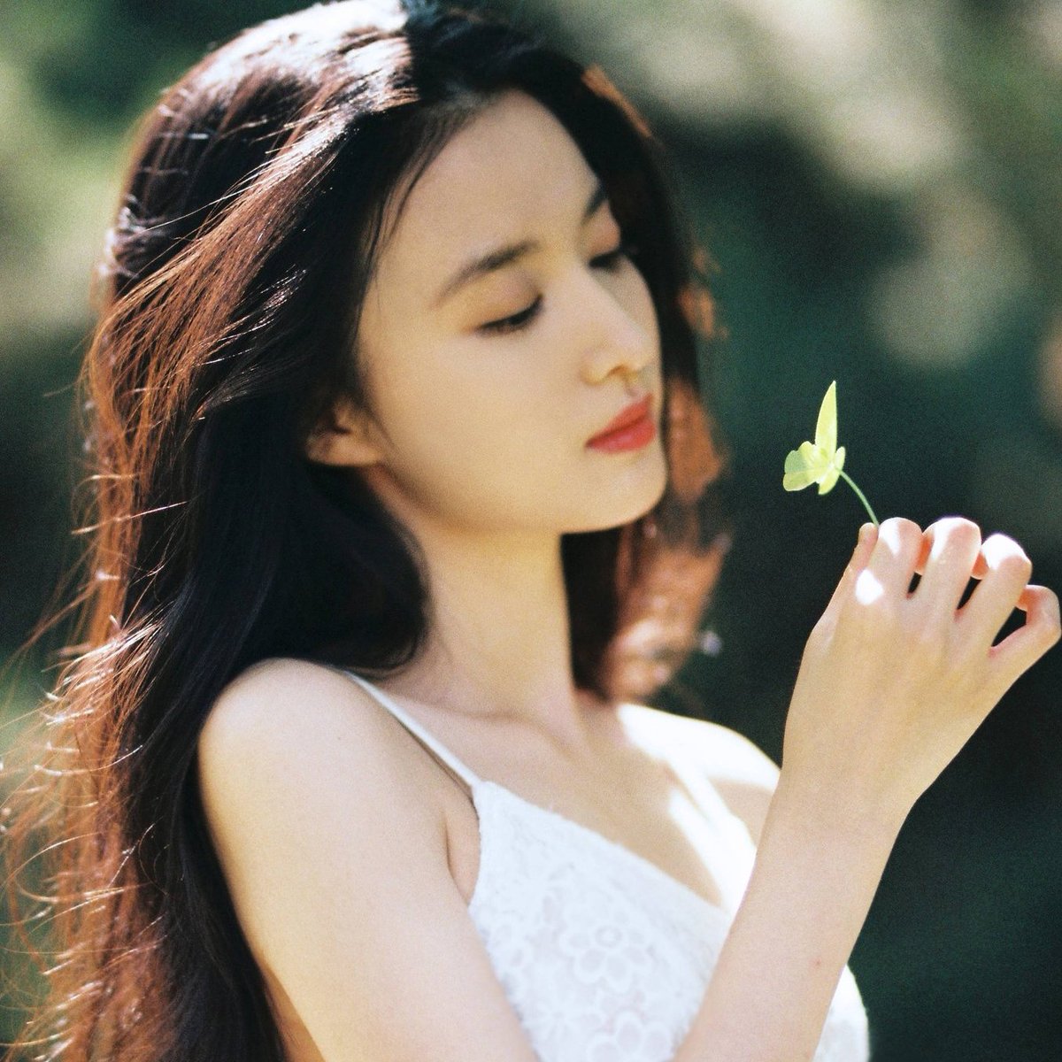 Mei_yae2020's tweet photo. อย่าดูถูกดอกหญ้า...
💮
   🍀🌼
🌿💮💮🧚   🍀
      🍀🌼
💠🌿💠
    💠🌿🌼🍀☘️
        ☘️
💠🌿   🧚
🌿
  🌼 https://t.co/DxC5osl3sH