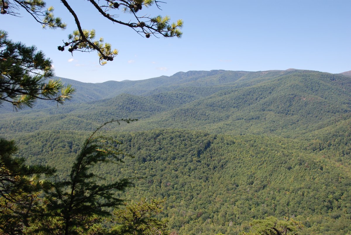 naturalinquirer's tweet photo. In honor of #NationalForestsWeek, we'd like to highlight another important branch of our national forests - Experimental Forests and Ranges. These specialized sites allow scientists to conduct long-term, ongoing research into a variety of fields. https://t.co/rsf60CW21P. https://t.co/5RVHlMvwU0