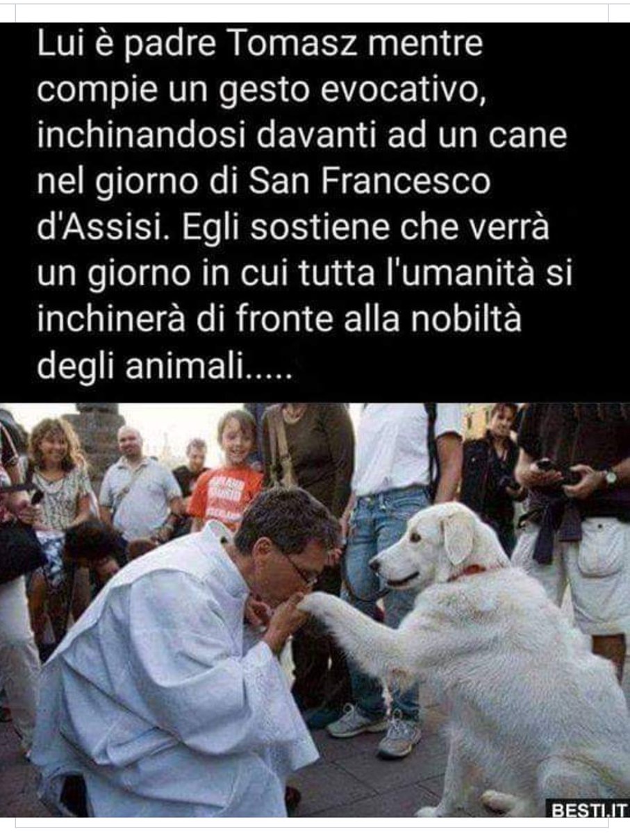 fenisia55's tweet image. 