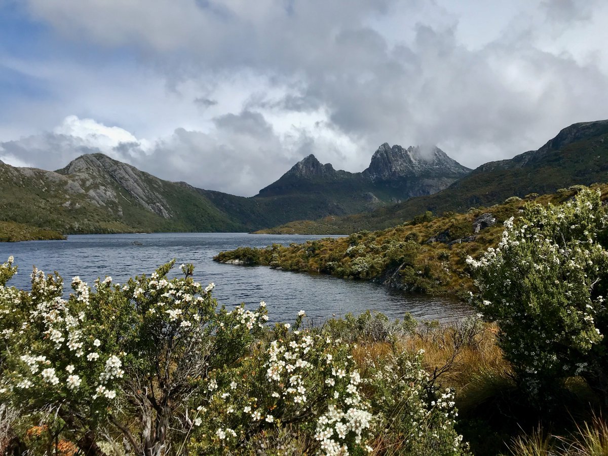 thepathitravel's tweet photo. ¿Alguna vez habrías pensado que podría nevarte en un viaje a Australia? 😮
⠀
Así nos quedamos nosotras cuando empezamos a subir de camino a #CradleMountain y, ¡empezó a nevar! El tiempo, incluso en verano, es muy cambiante, pero nos dejó unos paisajes así de bonitos! https://t.co/hlhkKazrqP
