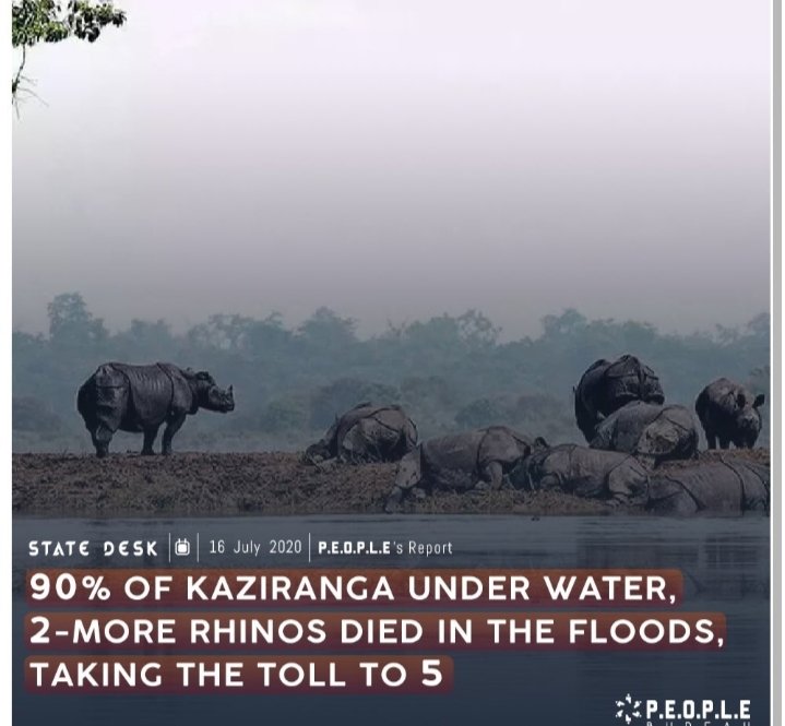 DebasishRajkum3's tweet photo. Wealth of Assam is Indian But 
Flood Of Asam is Not Indian Problem? 
Why?
@CMOfficeAssam 
@sarbanandsonwal 
@PMOIndia 
@narendramodi 
@PrakashJavdekar 
@JPNadda 
@smritiirani 
@rashtrapatibhvn
@jagdishmukhi 
@KirenRijiju 
@AmitShah 
@nitin_gadkari 
@himantabiswa 
@rajnathsingh https://t.co/qdkO6FiqaB