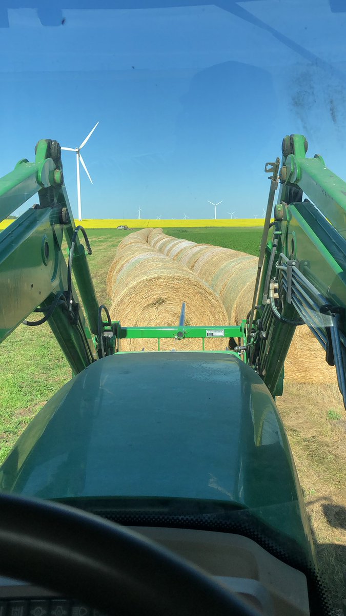 ColinMartel91's tweet photo. Lots of locals made fun of me for seedinf 48 acres of alfalfa grass on one of our best piece of land..... Planted 5 years ago and getting exactly 4 bale an acre on first cut 🤔🤔 #doingmorewithless #whoselaughingnow https://t.co/9OTEMtvg7l