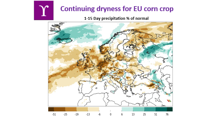 CropYield's tweet photo. To what extend will July dryness impact corn yields?
YPSILON provides accurate corn yields throughout Europe basis the latest satellite technology. Contact us to find out how YPSILON can improve your decision making!
#corn #cropyields #harvest2020 https://t.co/F1pp1qzuYF