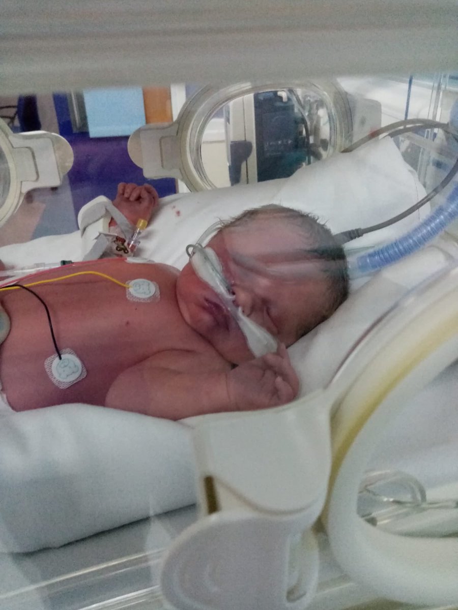 katie_g1886's tweet photo. Going through Noah’s 1st photos. Can’t believe how far my little chunk has come. So lucky he is here and healthy. No matter what comes, he’s still so perfect #gratefulandlucky #nearly1 #myboy https://t.co/64yDn3U1XB