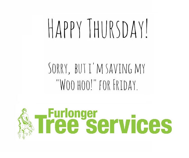 It's Thursday, we hope you all have a great day! 😀👍

#treesurgeon #treework #arborist #trees #treecare #whichtotm #whichtoty #treefelling #treelife