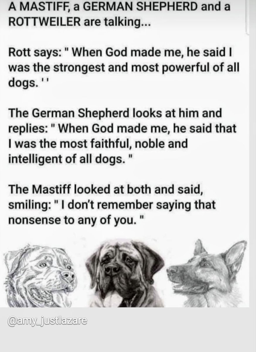 colin_ddb's tweet photo. MrsG be laufin at this 😂 
Me no sure why? 🤔🐶🐾
#CwazyHoomum. What yoo fink
 @MungoDogue @DogueLexi  @kymwylson @DogueRescue @BordeauxCharley @ElsieMayBay @BeasleyDogue @The3FurBabes https://t.co/Zy1D2OVzkZ