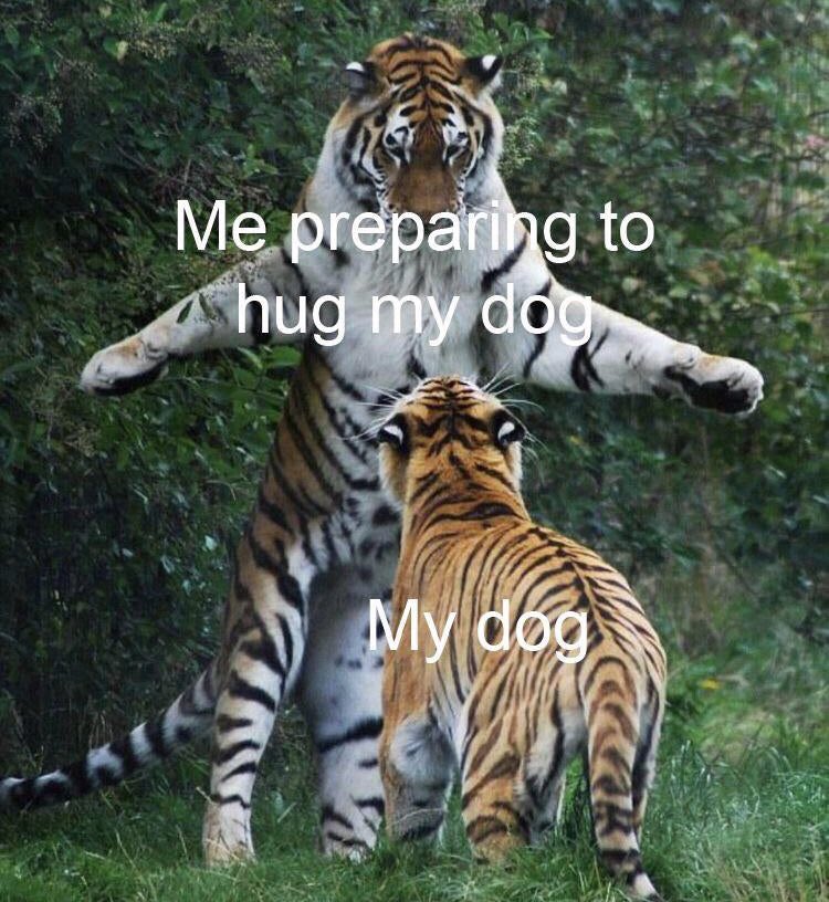 Respectful Memes (@respectfulmemes) on Twitter photo 