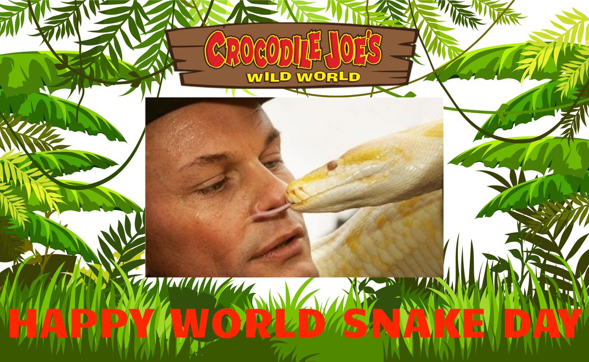 CrocodileJoe's tweet photo. 🐍HAPPY WORLD SNAKE DAY 🐍
🐍TO ALL MY FELLOW SNAKE LOVERS OUT THERE🐍#WORLDSNAKEDAY #16THJULY https://t.co/rckUwjXhrN