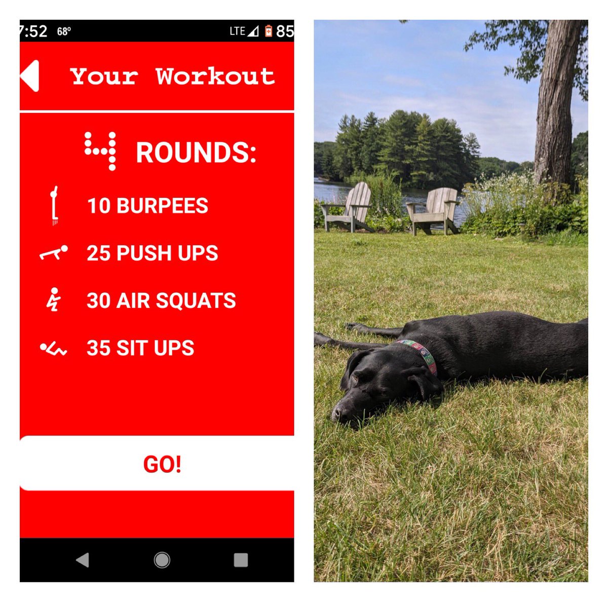 sofialafalce45's tweet photo. I guess my dog and I have different ideas of what vacation is 🤔 https://t.co/1Brp9ZxkXg