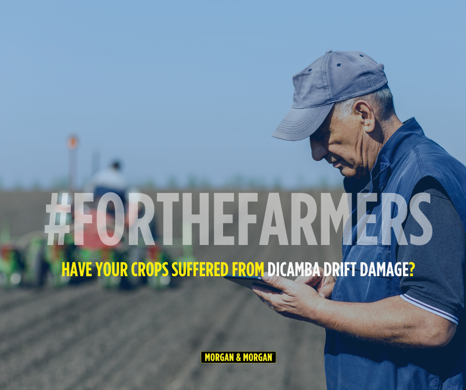 Morgan & Morgan tweet media