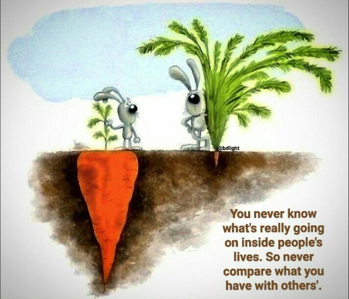 MarocBuild's tweet photo. That's true. https://t.co/14GQSBG4Au