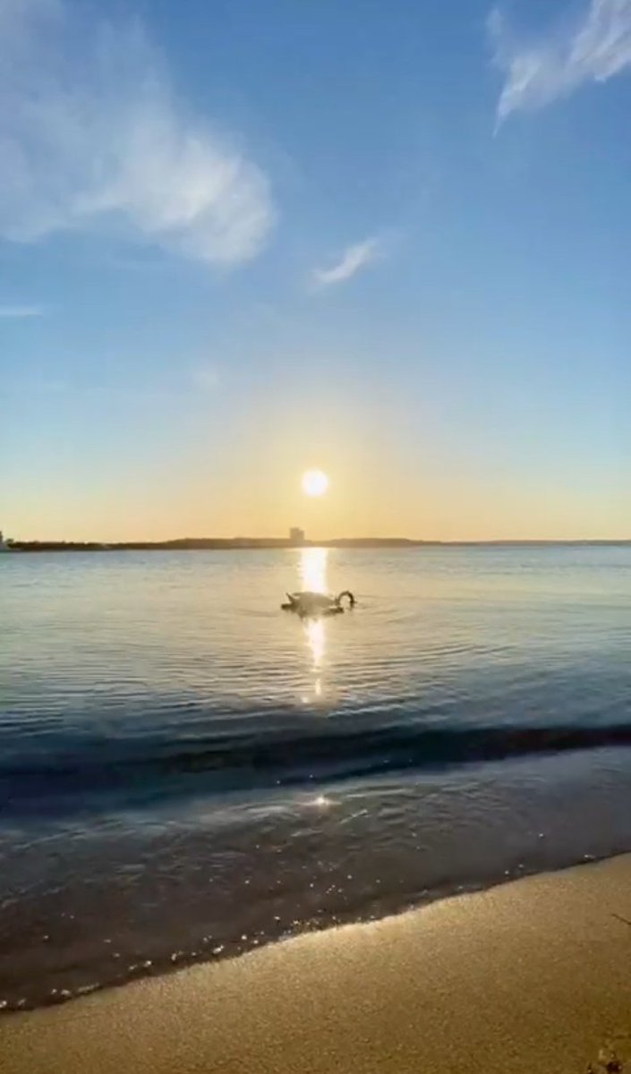 🌧

« فالدعـاء يرفع القضـاء ،
فكم من المصائب ارتفعت بالدعاء 
وكم من نِعمٍ جلبها الدعاء » .

تقريب التدمريه، لابن عثيمين(٤٩٦)

#مساءالورد 
#نظام_الجامعات_الجديد