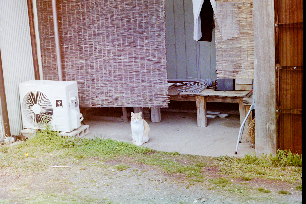 imotech72's tweet photo. 無題 (2014年頃)

#film #zeissikon #japanphoto https://t.co/vZbmOLdd3w