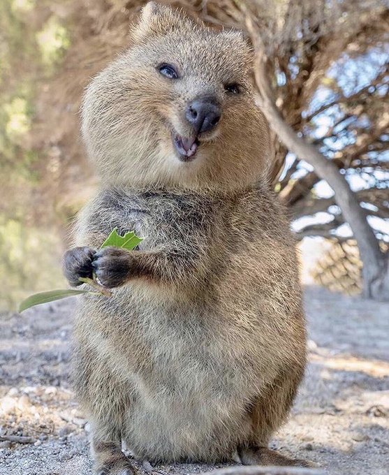 へっ！！！！！ https://t.co/0xT4ALrFLo<a href="/tag/%E3%83%95%E3%82%A9%E3%83%BC%E3%83%88%E3%83%8A%E3%82%A4%E3%83%88"class="tags"><span>#フォートナイト</span></a><a href="/tag/%E6%88%91%E6%84%9B%E7%BE%85"class="tags"><span>#我愛羅</span></a>