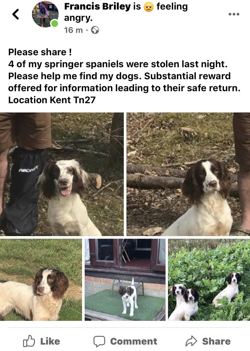 Please share far and wide stolen in Kent.