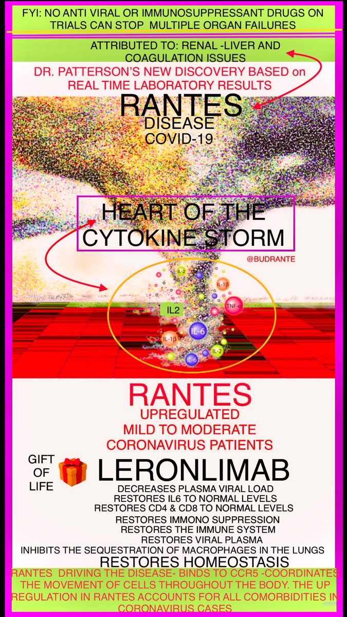 BudRante's tweet photo. HIT PIECES WERE LAUNCH
EMOTIONAL EFFECT SHORTS TAKES ADVANTAGE
#SCIENCE EXCELLENT DATA
MODE OF ACTION STANDS
#LERONLIMAB $CYDY
21ST CENTURY MARVEL DRUG
1 MOLECULE TREATS #COVID19 #HIV #NASH
#gVHD #mTNC
22 SOLID #CANCER ( ALL PH 2 )
@CNBC @CNN @nytimes @USATODAY @CytoDyn https://t.co/Zgjt2H7lar