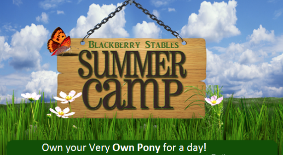 blackberystable's tweet photo. Blackberry Stables
2020 SUMMER PONY CAMPS

Own your own Pony for the Day!

JULY
Tuesday - 21st, 28th.
Wednesday - 22nd, 29th.
Thursday - 23rd, 30th.
10am – 4pm Daily

AUGUST
Tuesday 4th, 11th, 18th.
Wednesday 5th, 12th, 19th.
Thursday 6th, 13th, 20th.
10am – 4pm Daily https://t.co/nu6brRtQzS
