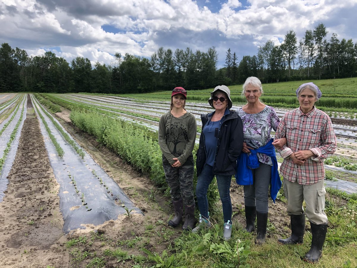 ChickadeeFarmHe's tweet photo. We had one of our long time customers, Athabasca Health Foods, come to the farm the other day.  They got a tour &amp; a new appreciation for where there herbs come from.  If your in Athabasca please check them out &amp; pick up some of our herbs there. 

#athabascahealthfoods #athabasca https://t.co/pnYG8A99cr