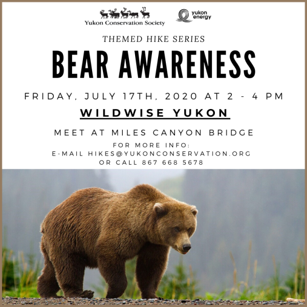 Join <a href="/YCSYukon/">Yukon Conservation Society</a> and #WildWise Yukon tomorrow (July 17th) at Miles/Kwanlin Canyon to learn about #Bear Awareness!