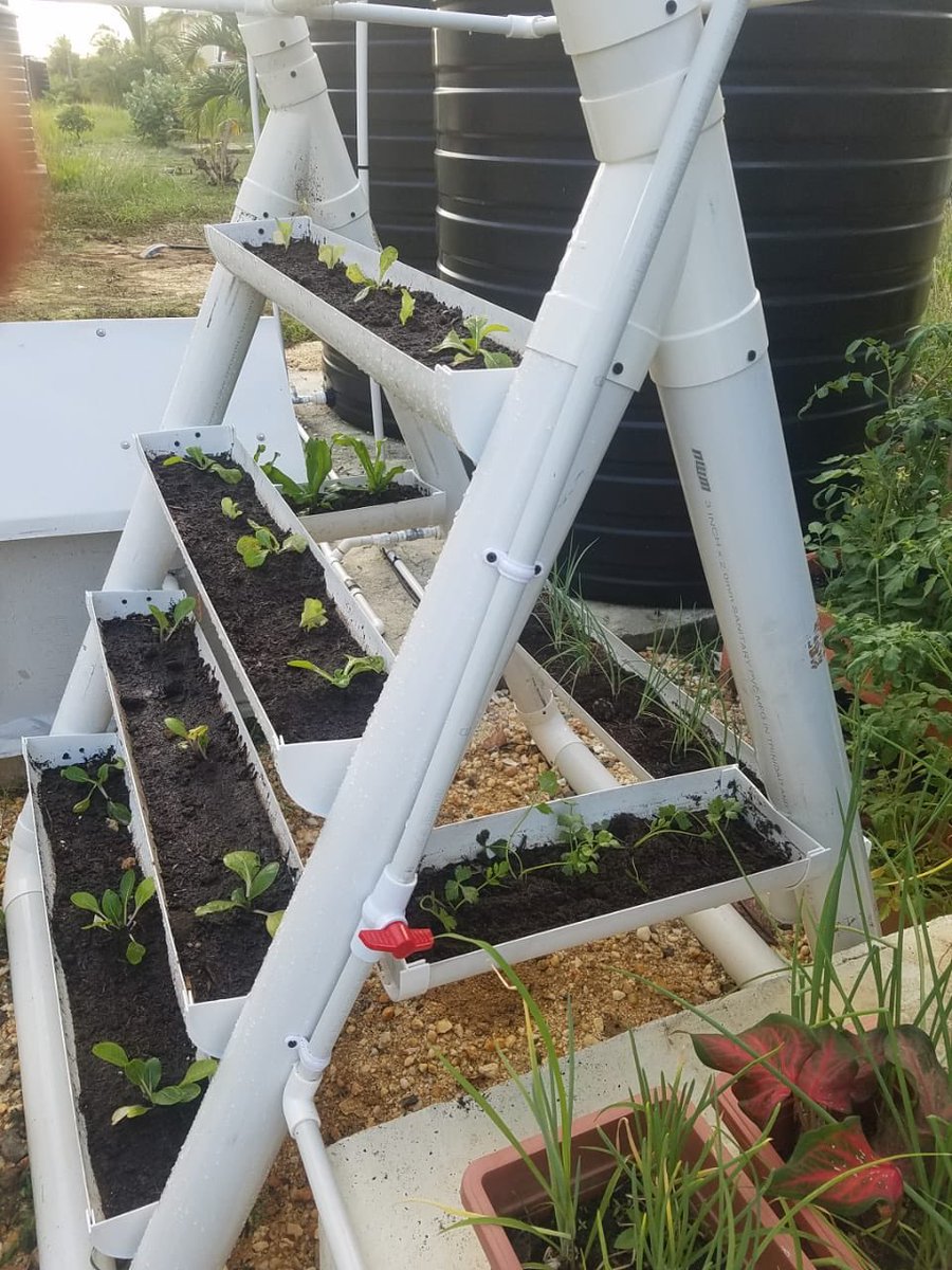 phae_868's tweet photo. So my family started a business where they make sustainable planters for quick &amp; easy watering of plants. They also come with or without watering systems. Prices my vary. Link up plant parents 😊
Signal Boost Please 📡🙏🏾 https://t.co/Z9PY58YCBa