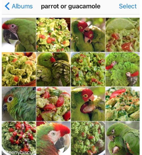 cszhu's tweet photo. for my next project i shall find the best image recognition api and see which one can successfully categorize these images https://t.co/kAR4E7mrnq