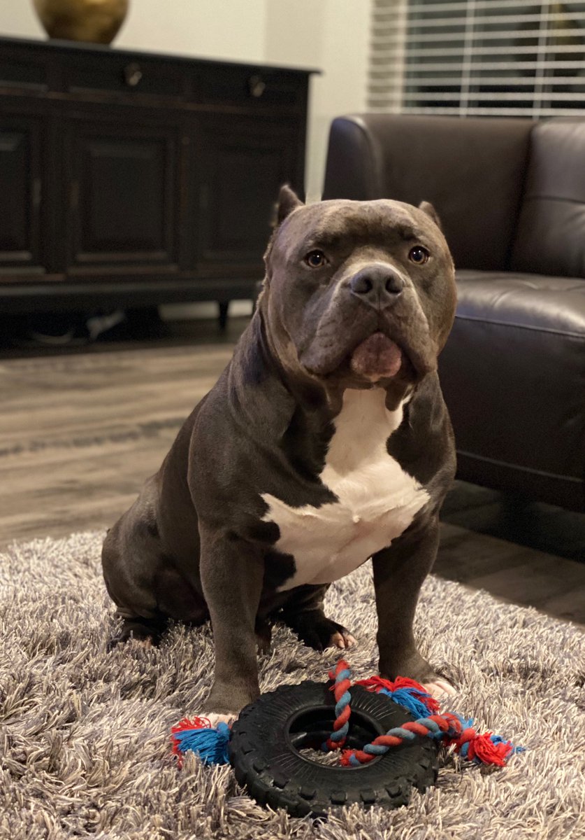 bionicvirtue's tweet image. 