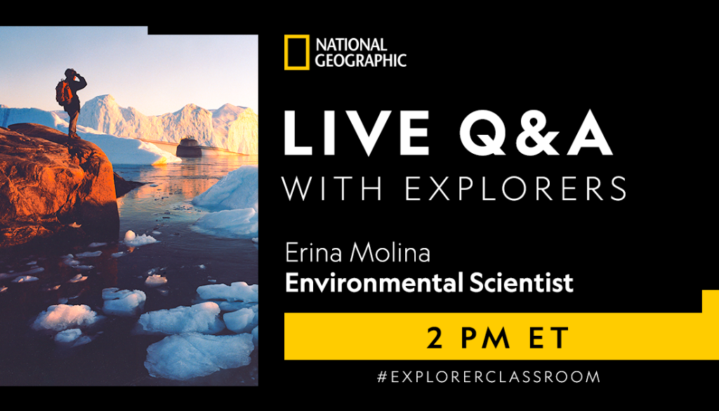 Fishermen in different areas in the Philippines help @insidenatgeo Explorer <a href="/ynamolina/">Erina Pauline Molina</a> identify vulnerable or locally extinct reef fish species. 🐠 🐟 🐠 

Learn more about fishing communities at 2PM ET today! #ExplorerClassroom
on.natgeo.org/6017GnTXD