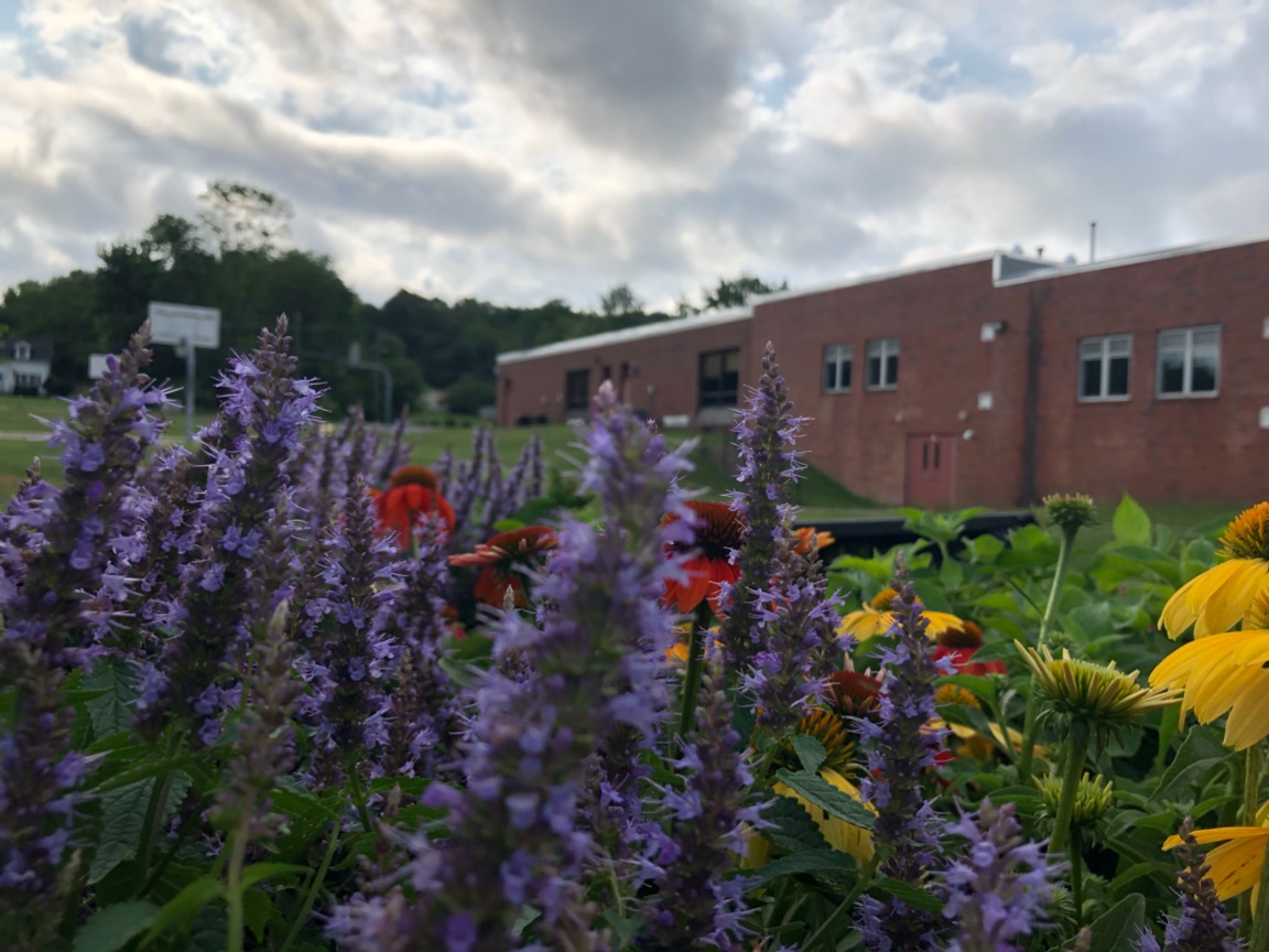 MrsMurr101's tweet photo. UTMS garden is moving along. Thank you Mendham Garden Center, Clinton Elks, and Ms. Spann. #TheU #UTMSFamily #TigerPride https://t.co/92JZSAGhpP