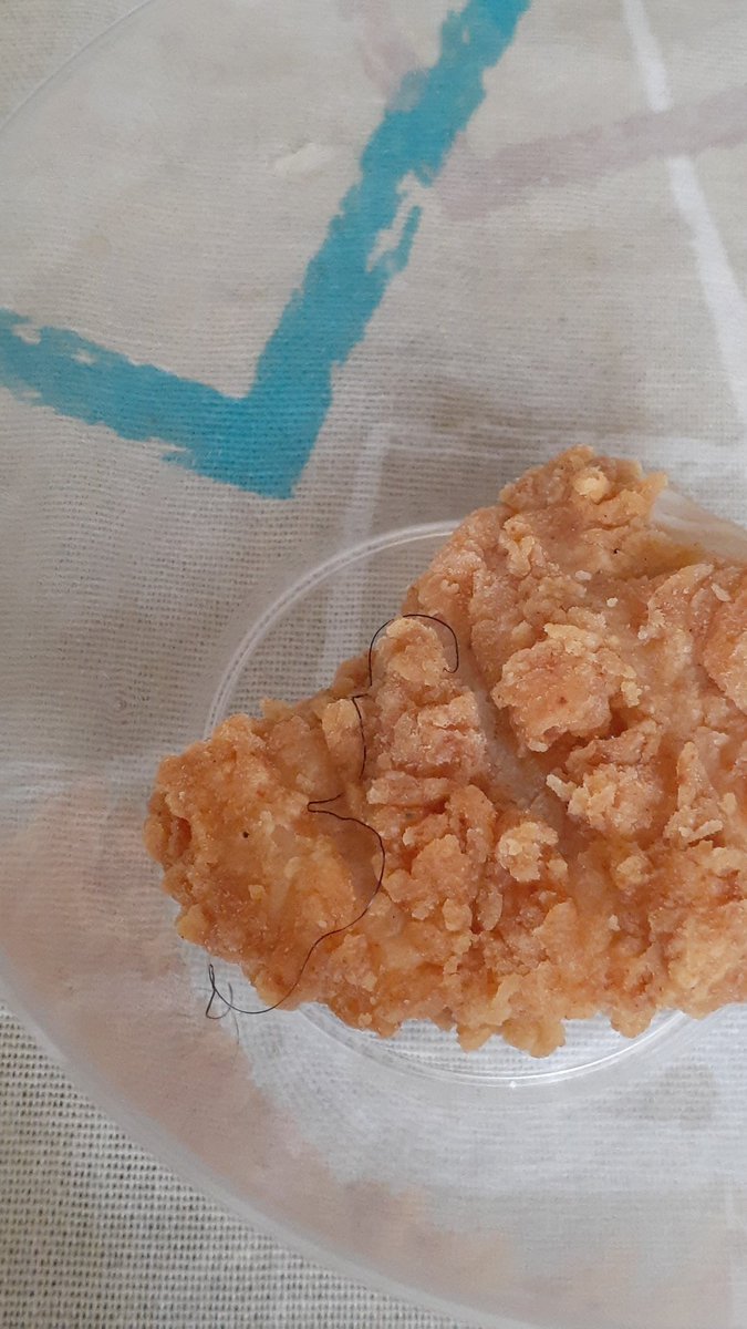 Ontem dei uma passadinha no <a href="/KFCBrasil/">KFCBrasil</a> <a href="/kfc/">KFC</a> do #shoppingboulevardtatuape, até comentei aqui em casa que estavam seguindo todas as normas de segurança, falei demais...pq qdo fomos comer...olha o que veio de brinde 😒😖