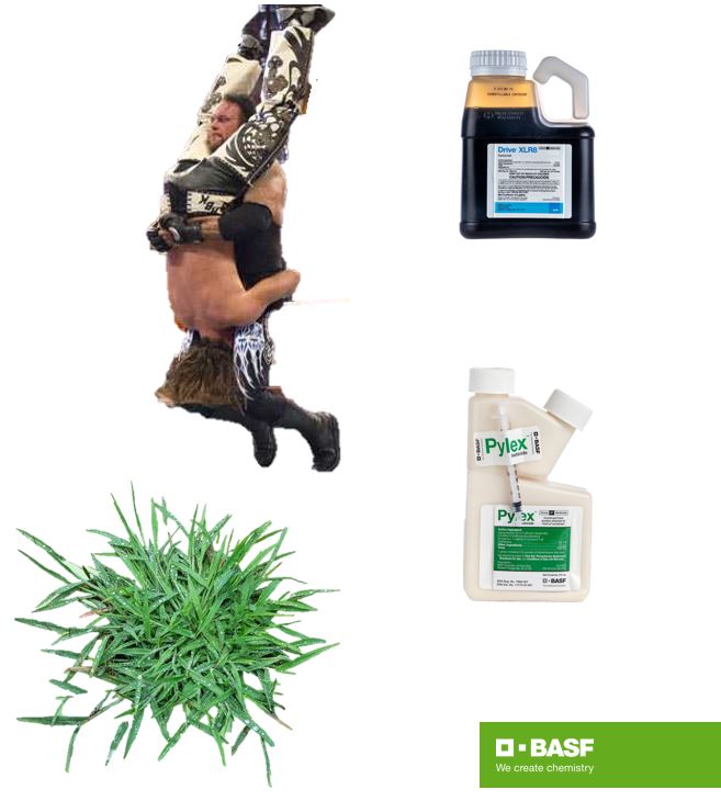 What happens when you mix #BASF Pylex and Drive XLR8 products together?  You get the PYLEDRIVER!!!!  Duel MOA on hard to control weeds like Crabgrass and Goosegrass along with many many others.  This mix allows you to lower the rates but get better results!