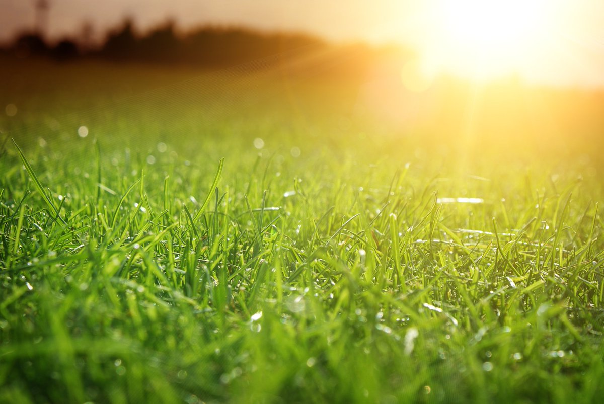 northatlanticl1's tweet photo. Some lawns can achieve a brilliant green with only the help of aeration, de-thatching, overseeding and proper mowing, but some lawns require additional nutrients. We can help!

📱: 603-205-7777
🌐: https://t.co/CHvBlQKv0t

#lawncare #Lawnmaitenance #lawnservice #Lawncareservice https://t.co/ZYVv09CCQ8