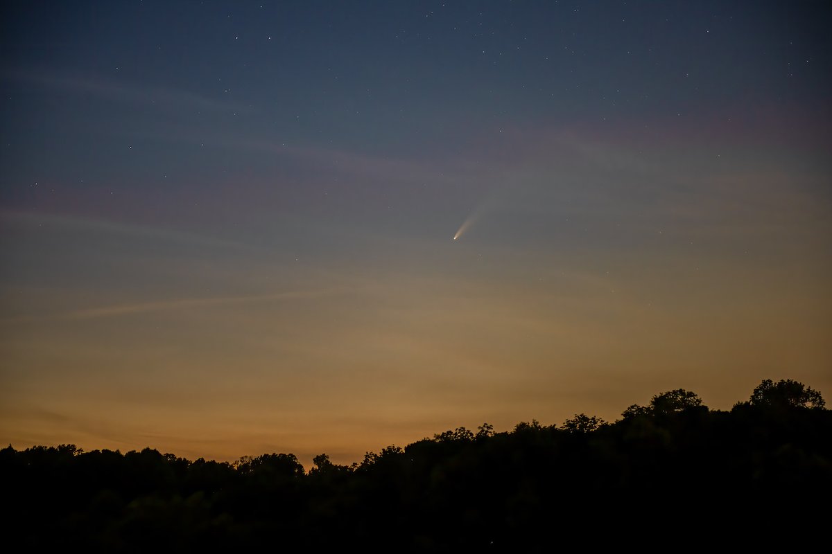 longwoodgardens's tweet photo. Comet #Neowise streaked across the sky above the Meadow last night! I bloom every ~7 years but this collection of stardust comes by every 7k years! I know more about asters than astronomy but I had a strange feeling that somehow we’re all made of the same stuff. #SproutStinks 1/2 https://t.co/soP1a6q1Vr