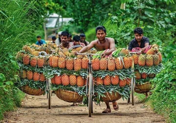 mdsajjad7788's tweet photo. 💕💕প্রিয় বাংলাদেশ 💕💕 https://t.co/gOnYyag69E