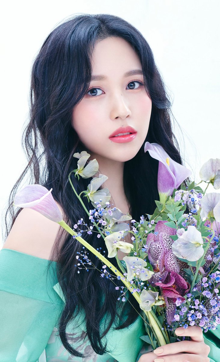 minashyo's tweet photo. https://t.co/7Xa7Iapybd