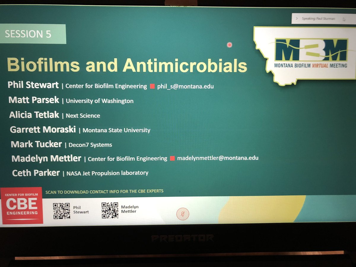 HKNVee's tweet photo. Final day of the @Center4Biofilm Montana Biofilm Virtual Meeting.
Really looking forward to today’s session on BIOFILM and ANTIMICROBIALS 🧫 💊 ✨
Let’s go!!!!!!!
#MBM2020 #MBVM2020 #Biofilm https://t.co/Weowe8rVnl