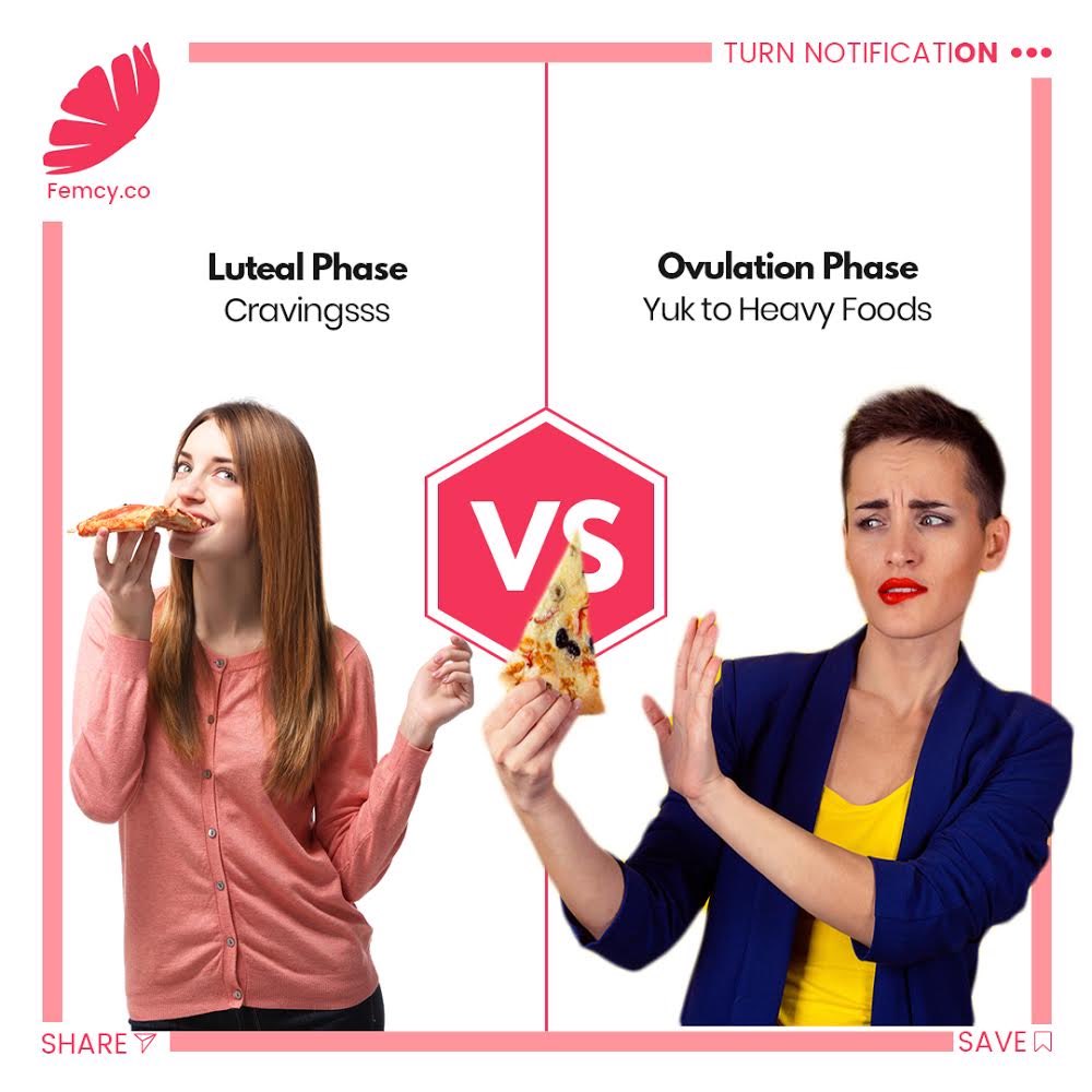 Femcy.co tweet media