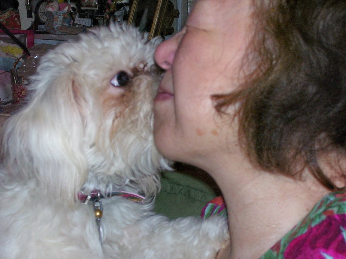 sokamoto's tweet photo. TBT: My mother loved Piiko and Piiko loved her. #ColumbusGA #Mommy #Piiko #Peke-a-Poo https://t.co/q0QQnZhX2L