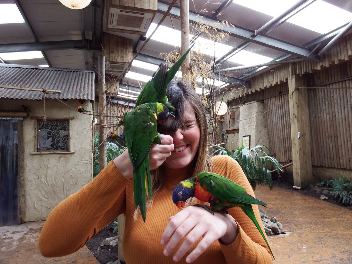 LSerena101's tweet photo. More photos from my fantastic brithday trip to @WestMidSafari https://t.co/POYRrUWblR