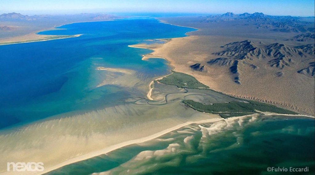 Martha Cristiana tweet media