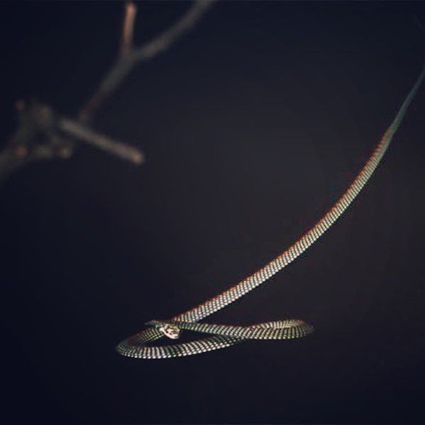 ringwaytech's tweet photo. Aerodynamic of #Ringway vehicle is inspired by gliding pattern of Indian Chrysopelea Ornata. 

Inspired by Nature! #WorldSnakeDay https://t.co/fvsu79jtvM