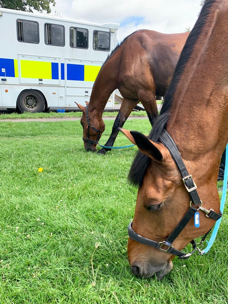 ASPoliceHorses tweet media