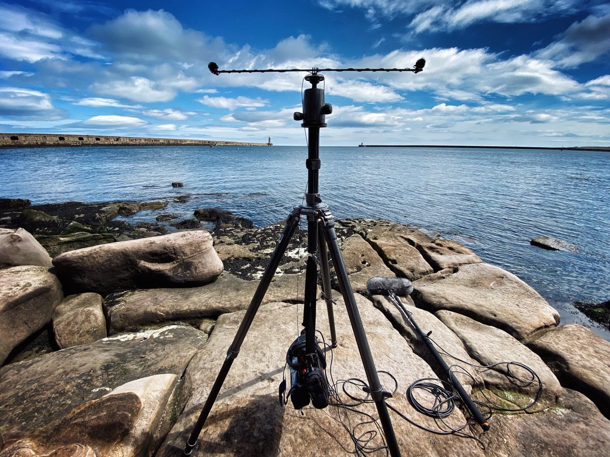 Bubblebee_Ind's tweet photo. 😍 Stunning photos from @MrJackLowe's #FieldRecording set up! 🇬🇧
https://t.co/rBfuLrL7Eq
Jack uses @DPAmicrophones #DPA4060 #Lavaliers with #TheWindbubbles. Throw in the #KashmirPreamps of the @sounddevices #MixPre3 for a truly great #Audio delight!
#MakingSoundSoundBetter https://t.co/QYoa6kk9zf