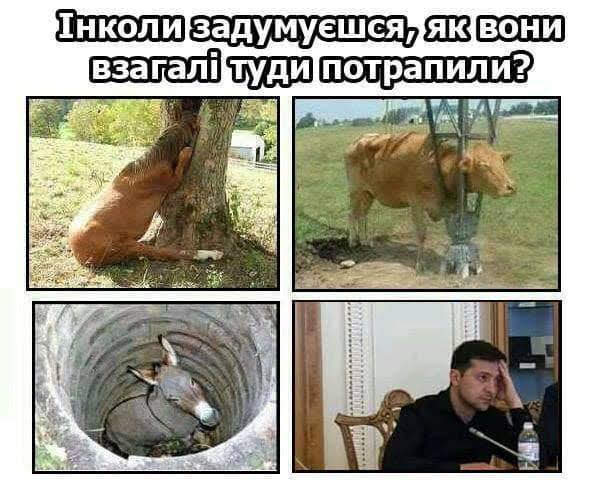 В Офісі президента немає "смотрящих" за Києвом та іншими містами, - Зеленський - Цензор.НЕТ 6949