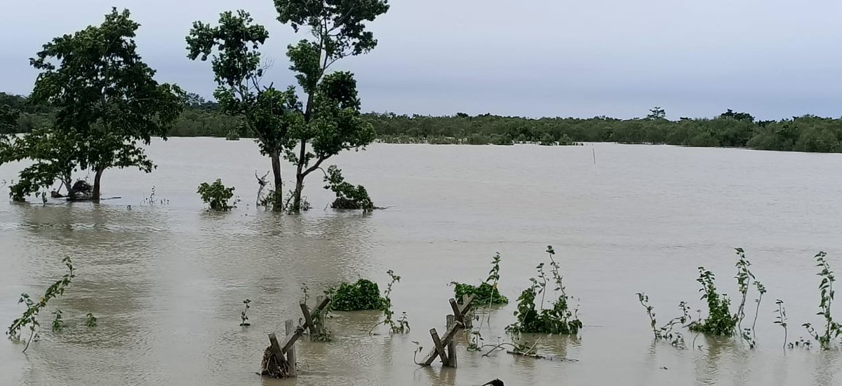 JenyDoley's tweet photo. #prayforassam 
#AssamFloods 
#AssamFloods 
 Assam is facing devastating floods. Many people are have already lost their life, property. 
Help Assam. 
Pray for Assam. 

Photo : Jonai, Assam, India 🇮🇳 https://t.co/jXrYK0CAYU