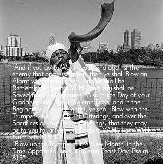 TrinityCircle's tweet photo. #HalleluYah #YAH #YISSAYAH #KONGO #VENGEANCE #REPARATIONS #HARVEST #WEEKS #SHAVUOT Sa6p.7.18-Su6p.7.19.20 #LAWSSTATUTESCOMMANDMENTS #LEV23 #ABRAHAMISAACYAHOB #12TribesOfIsraelNegros #SABBATHDAYFR6PSA6P #ArkOfTheCovenant #400YRS #BHM #YudYah #FreeBlacksOfIsraelHill #SIMBYAHSALAYAH https://t.co/f7bz9sMhne