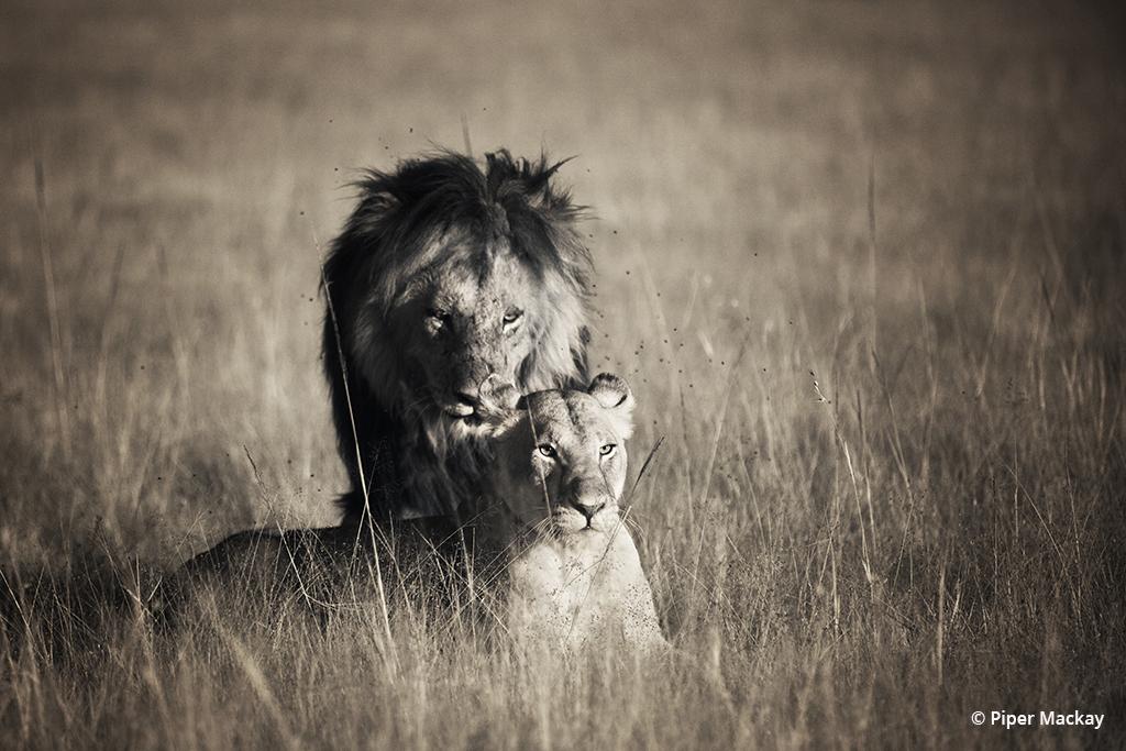 Outdoor Photographer tweet media